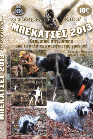 ΜΠΕΚΑΤΣΕΣ 2013