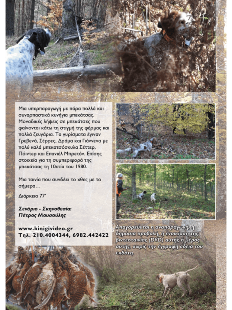 ΜΠΕΚΑΤΣΕΣ 2013 - Πίσω