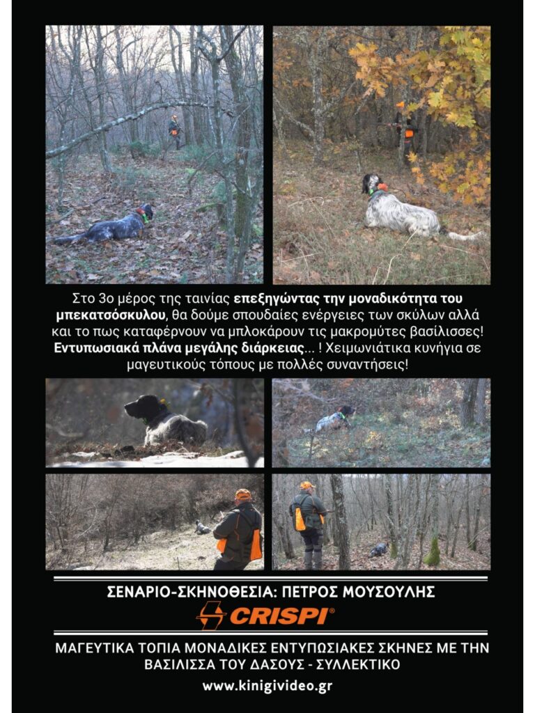 ΜΠΕΚΑΤΣΟΚΥΝΗΓΟΣ No2 2024 - Πίσω