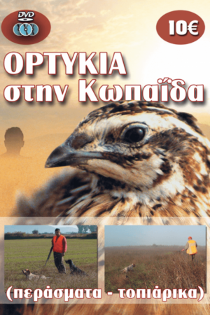 ΟΡΤΥΚΙΑ ΣΤΗΝ ΚΩΠΑΪΔΑ