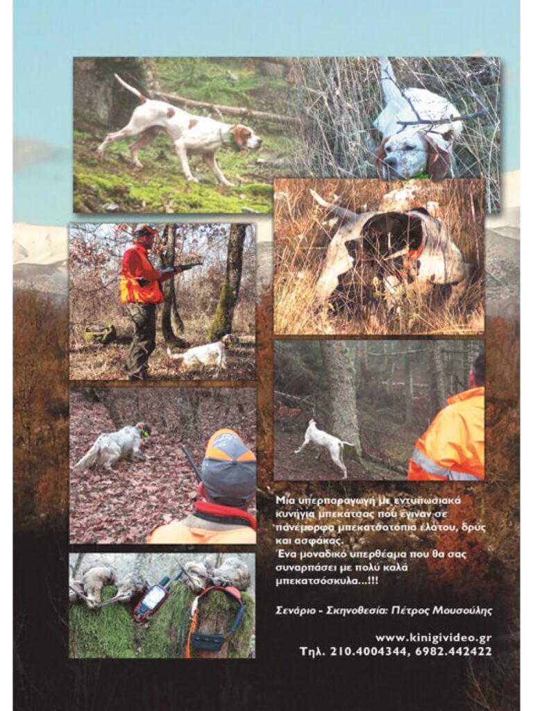 ΜΠΕΚΑΤΣΕΣ 2015 POINTER VS SETTER - Πίσω