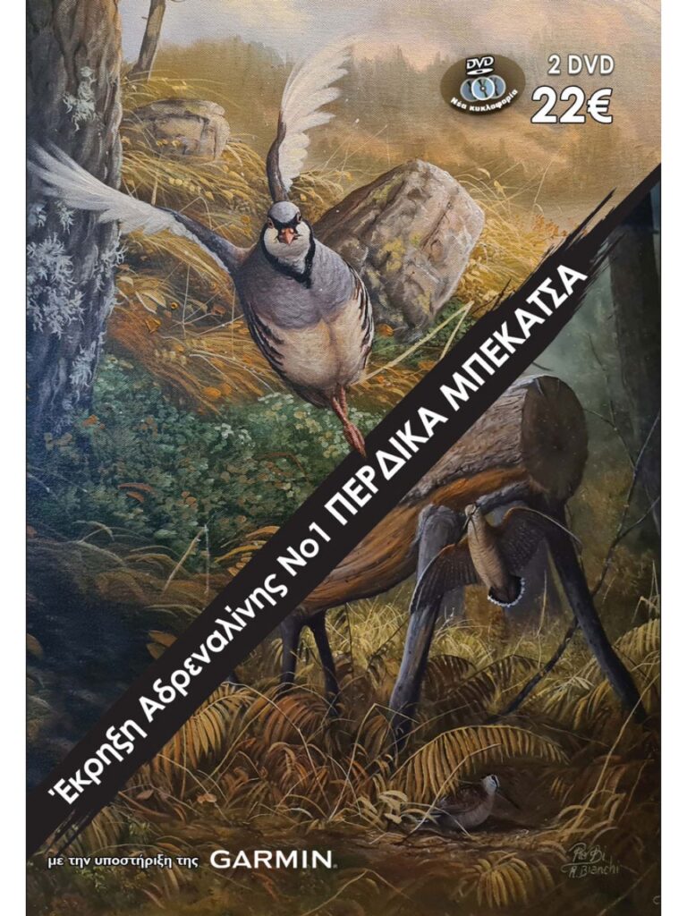 ΕΚΡΗΞΗ ΑΔΡΕΝΑΛΙΝΗΣ Νο1 ΠΕΡΔΙΚΑ-ΜΠΕΚΑΤΣΑ - Μπροστά