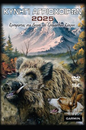 ΚΥΝΗΓΙ ΑΓΡΙΟΧΟΙΡΩΝ 2025