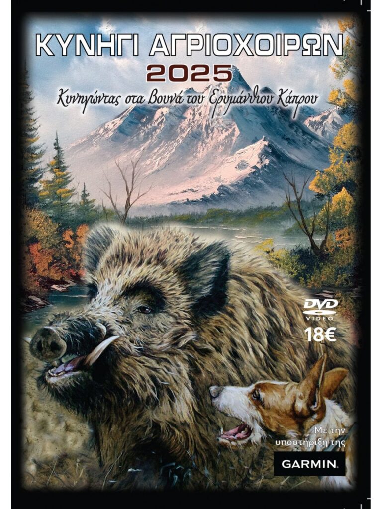 ΚΥΝΗΓΙ ΑΓΡΙΟΧΟΙΡΩΝ 2025 - Μπροστά