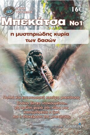 ΜΠΕΚΑΤΣΑΣ 2017