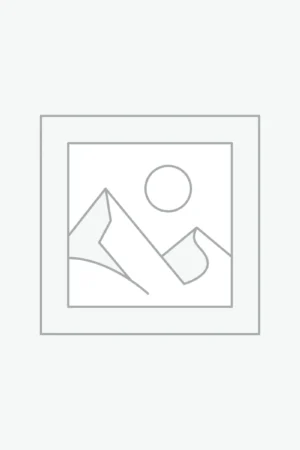 Δείκτης τοποθέτησης